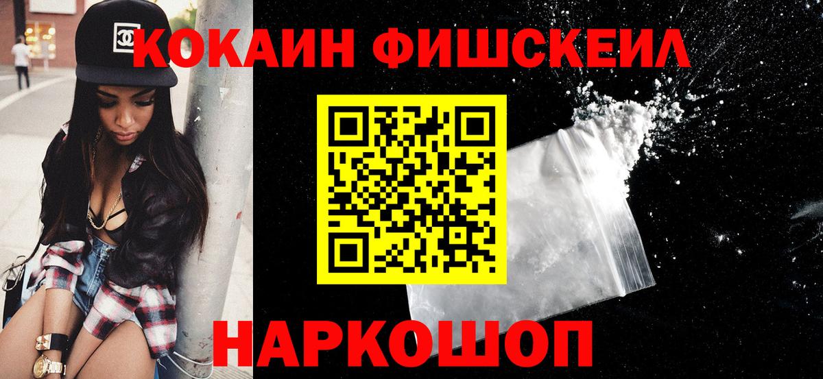 COCAIN Fish Scale  COCAIN Эквадор  Саратов  COCAIN  Вход с VPN 
