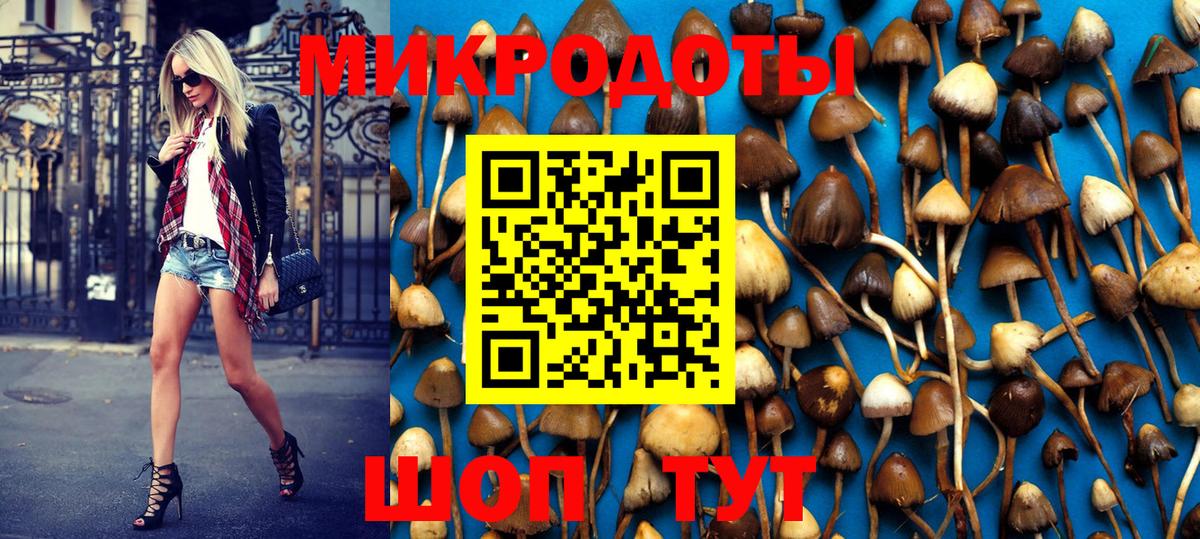 Псилоцибиновые грибы MAGIC MUSHROOMS  купить наркоту  Саратов  Псилоцибиновые грибы мицелий  Вход с VPN 